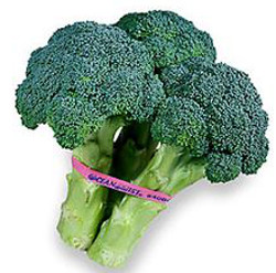 Broccoli rubber band